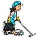 Cleaning Lady Team logo